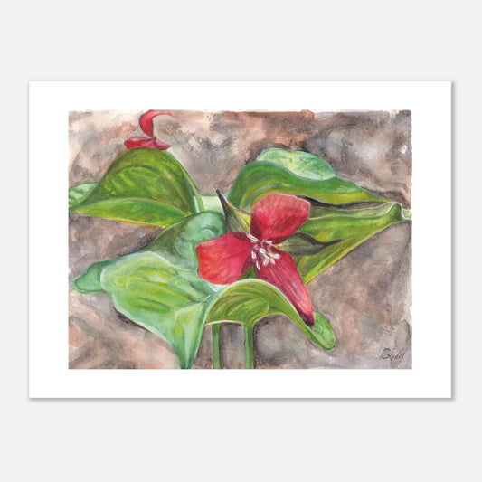 135ebb24-53d3-4304-8998-ebbeb6d2f0ad