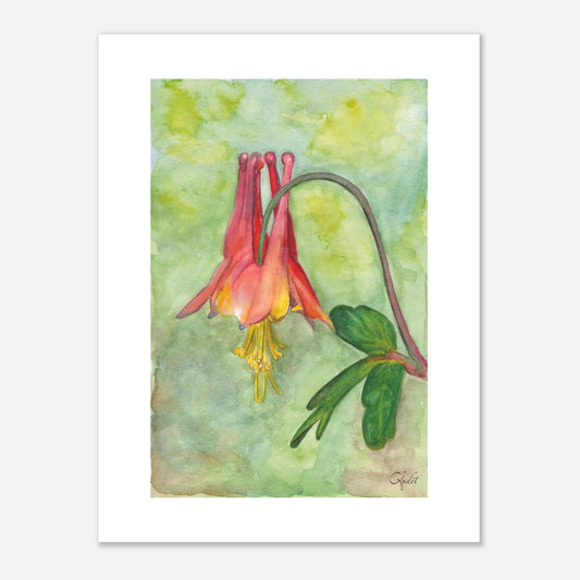 28106901-489e-4925-8188-977cf814d768