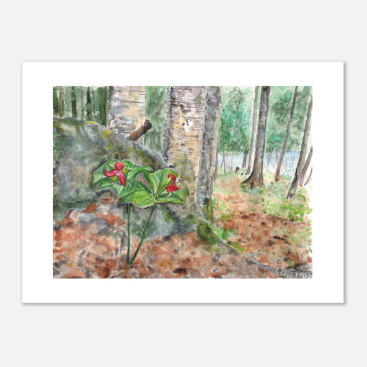 36206b93-2f98-4b7d-be27-4541a01ae33a