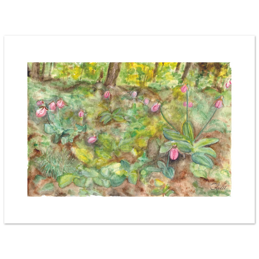 bf504071-8b88-4f06-b5a8-db3ec6f76f5a