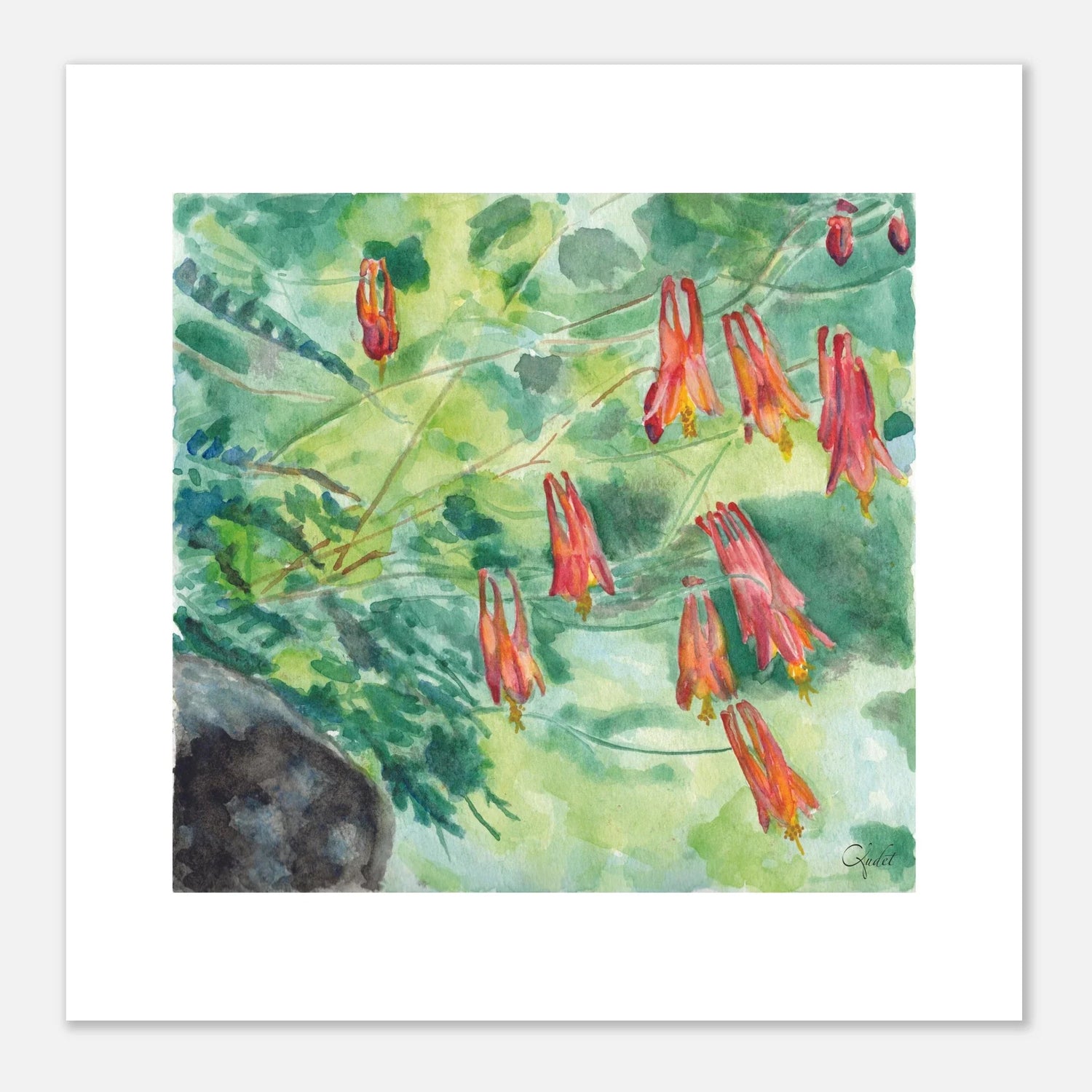 Canadian Columbine Among the Foliage