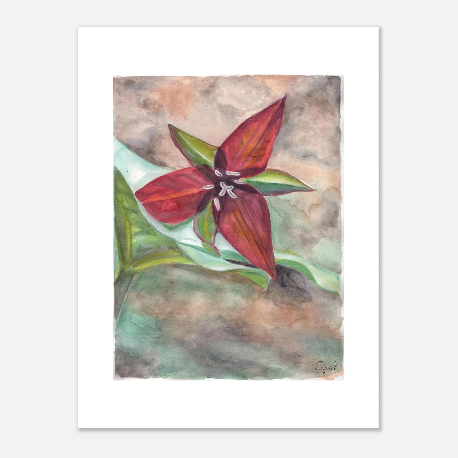 Red Trillium Close-Up