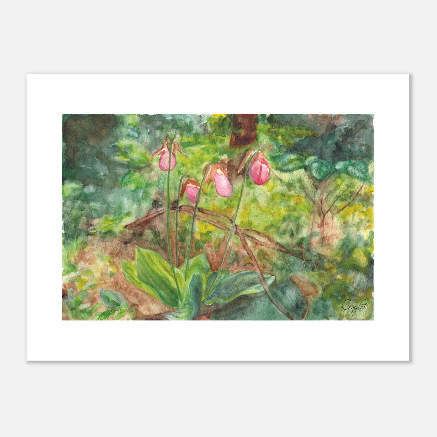 Pink Lady's Slipper — Woodland Elegance