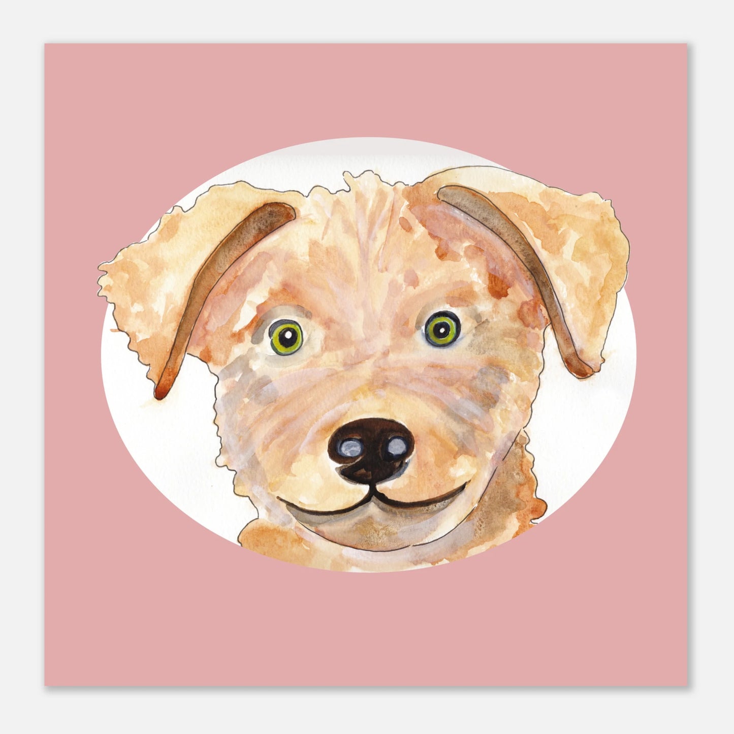 0caecd47-237b-41d9-b3a0-a7f319c512ee