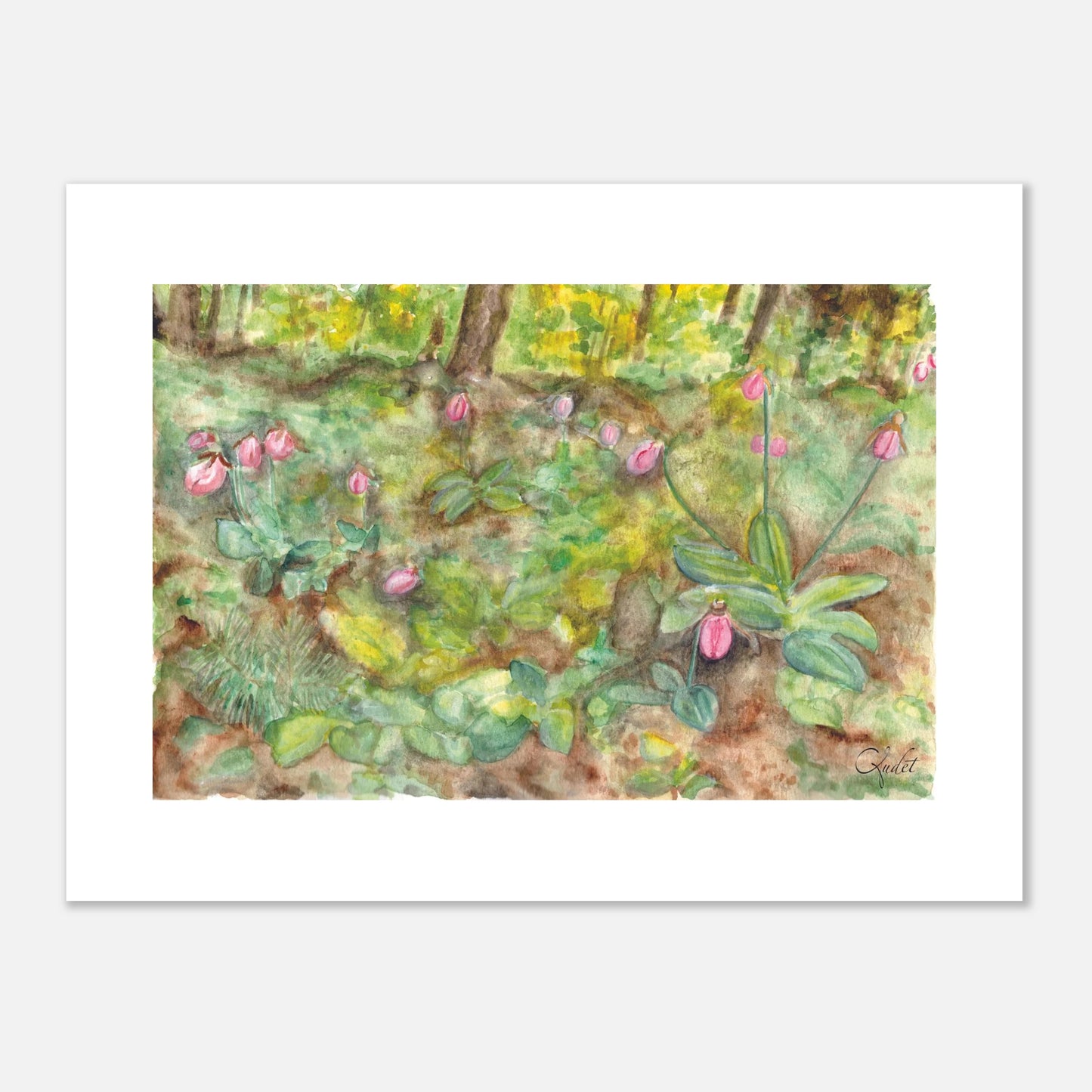 Pink Lady’s Slipper — Touches of Pink | Art Print
