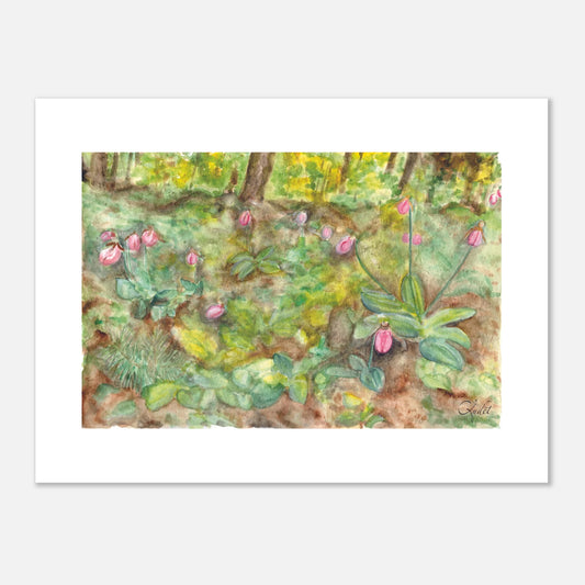 Pink Lady’s Slipper in the Woodland | Art Print