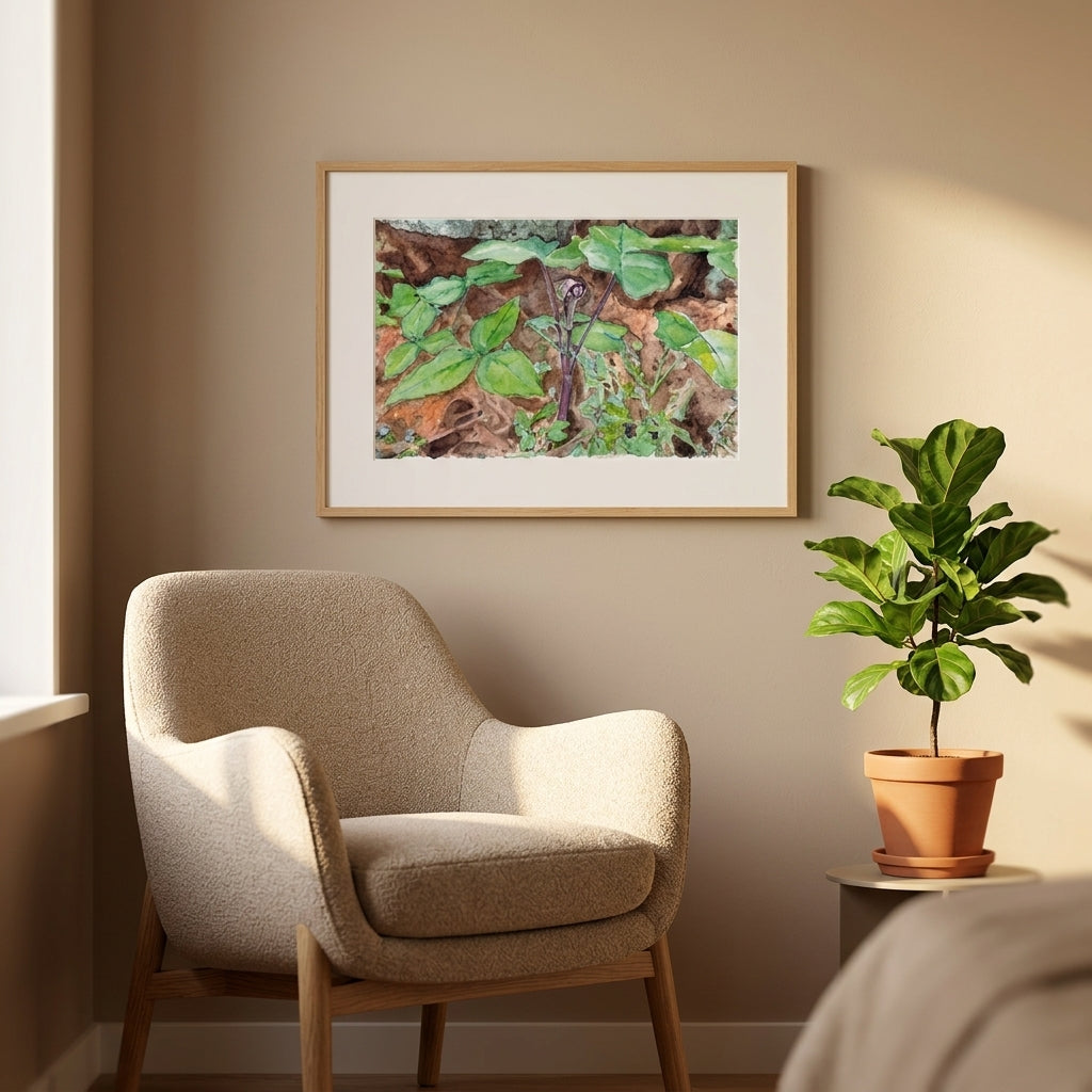Jack-in-the-pulpit In Its Woodland Setting | Art Print